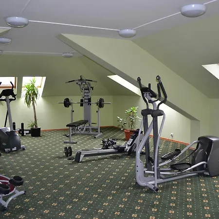City Center & Wellness Daire *